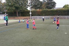 20180913_180830_1536859375709_resized