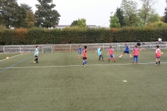 20180913_180907_1536859372871_resized