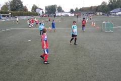 20180913_180959_1536859371418_resized