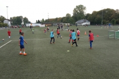 20180913_181204_1536859368265_resized