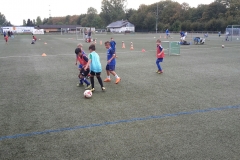 20180913_181618_1536859366865_resized