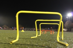 11 (Trainingsauftakt 01.02.2017)