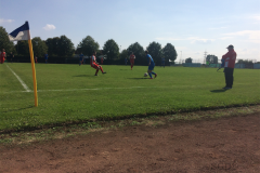 Foto 03.09.17, 15 04 20