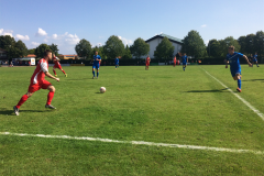 Foto 03.09.17, 15 13 51