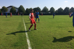 Foto 03.09.17, 15 15 17