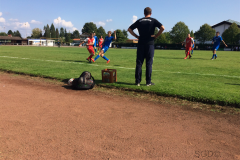 Foto 03.09.17, 15 40 40