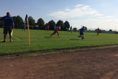 Foto 03.09.17, 16 15 02