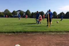 Foto 03.09.17, 16 16 39