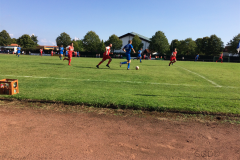 Foto 03.09.17, 16 28 18