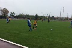 Foto 07.05.17, 15 05 03