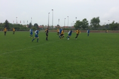 Foto 07.05.17, 15 05 18