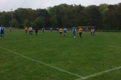 Foto 07.05.17, 15 07 19