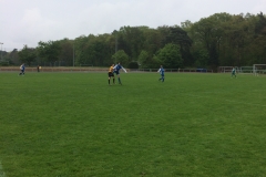 Foto 07.05.17, 15 08 58