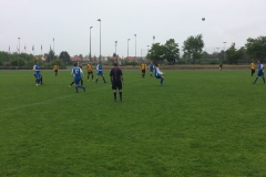 Foto 07.05.17, 15 12 03