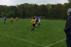 Foto 07.05.17, 16 05 43