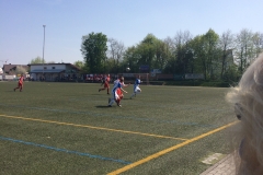 Foto 09.04.17, 13 09 39 (1)