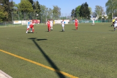 Foto 09.04.17, 13 18 27 (1)