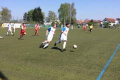 Foto 09.04.17, 13 18 29 (1)