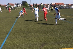 Foto 09.04.17, 13 18 39 (1)