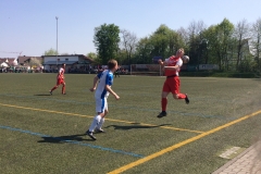 Foto 09.04.17, 13 24 53 (1)