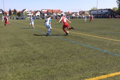 Foto 09.04.17, 13 33 46 (1)