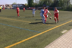 Foto 09.04.17, 13 36 54 (1)