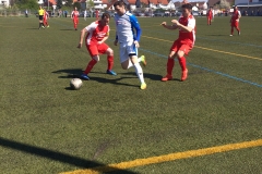 Foto 09.04.17, 14 11 35 (1)