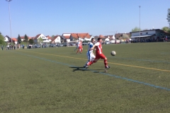 Foto 09.04.17, 14 28 18 (1)