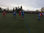 So. 12.11.2017 SGD - RW Walldorf II