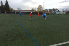 Foto 12.11.17, 16 10 47