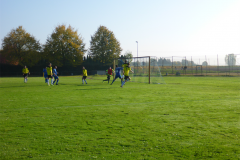 P1010567