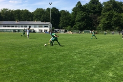 Foto 21.05.17, 15 07 20