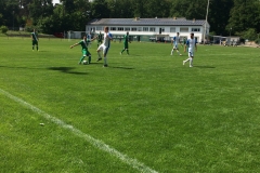 Foto 21.05.17, 15 15 48