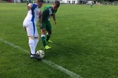 Foto 21.05.17, 15 37 50