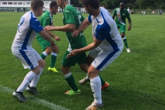 Foto 21.05.17, 15 37 52