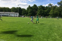 Foto 21.05.17, 16 13 25