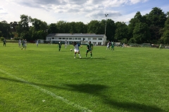 Foto 21.05.17, 16 18 54