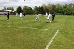 Foto 23.04.17, 15 10 55