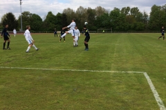 Foto 23.04.17, 15 20 05