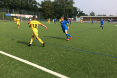 Foto 27.08.17, 15 15 02