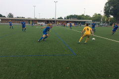 Foto 27.08.17, 16 12 36